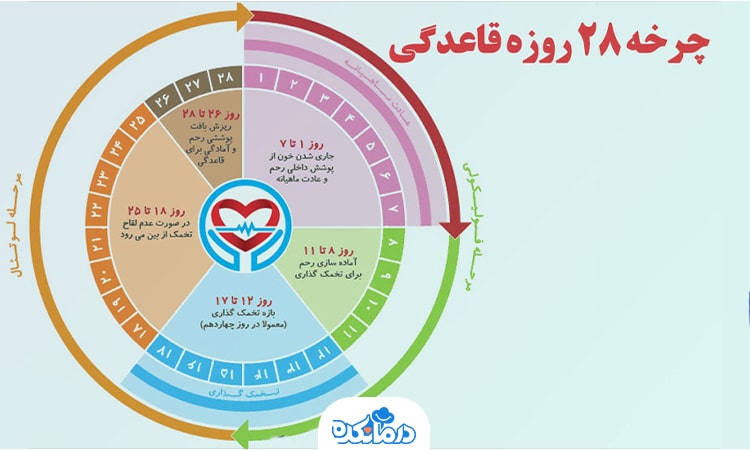 روزهای سیکل ماهانه در تقویم را می‌بینید. بی‌نظمی سیکل پریودی از نشانه‌ای سندروم کوشینگ در زنان است.