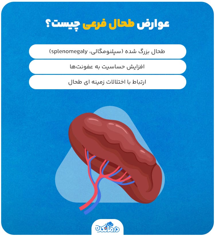 اینفوگرافیکی که عوارض طحال فرعی را نشان می‌دهد.