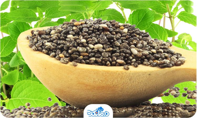 مقداری دانه چیا داخل یک قاشق چوبی