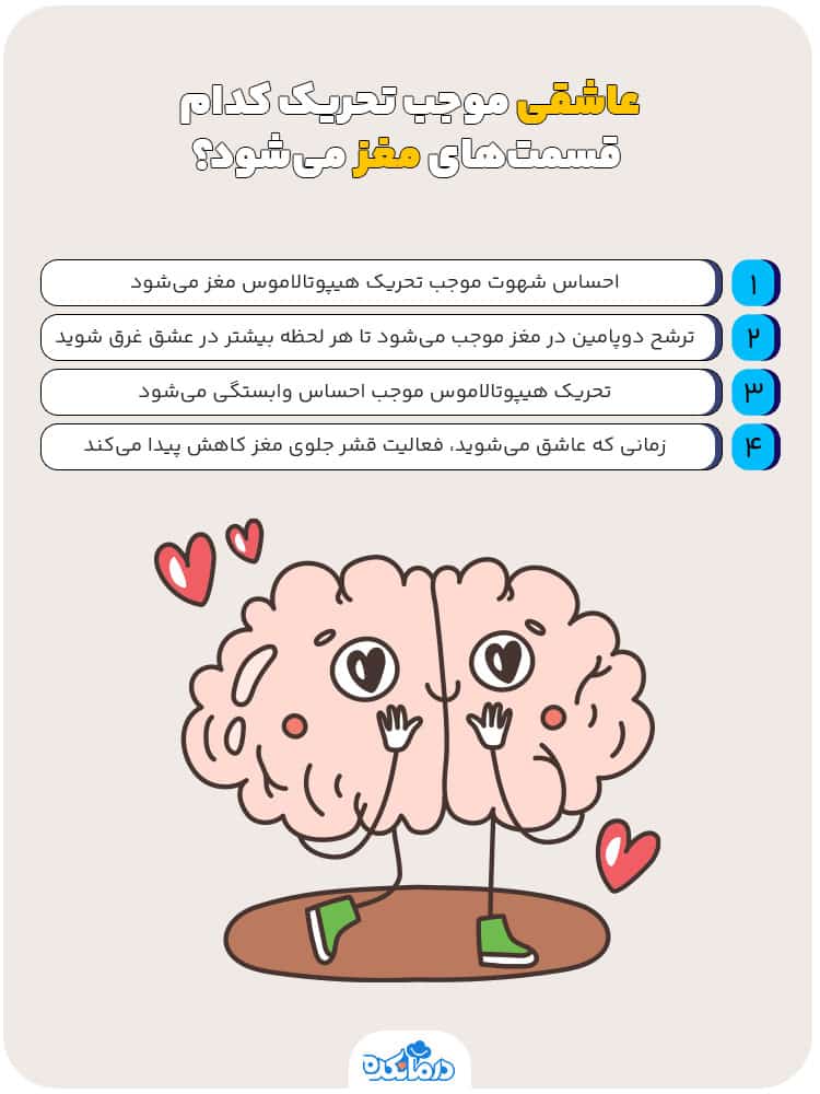 اینفوگرافی عاشقی موجب تحریک کدام قسمت‌های مغز می‌شود؟