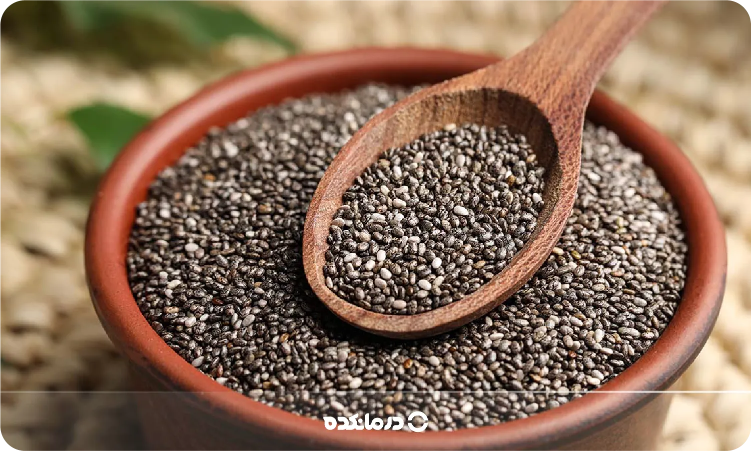 دانه چیا چیست؟ ۷ فایده شگفت‌انگیز برای سلامتی و انرژی بدن