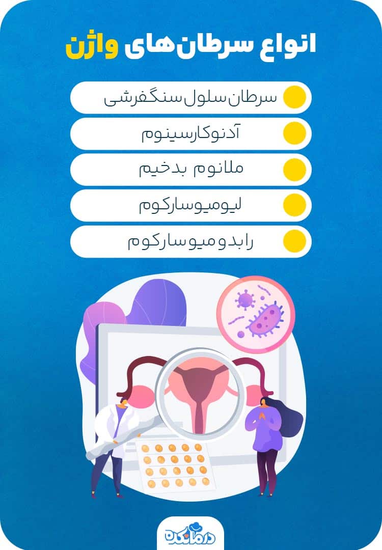 اینفوگرافی درباره انواع سرطان واژن