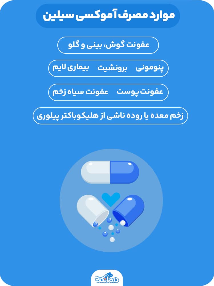 اینفوگرافی درباره موارد مصرف آموکسی سیلین