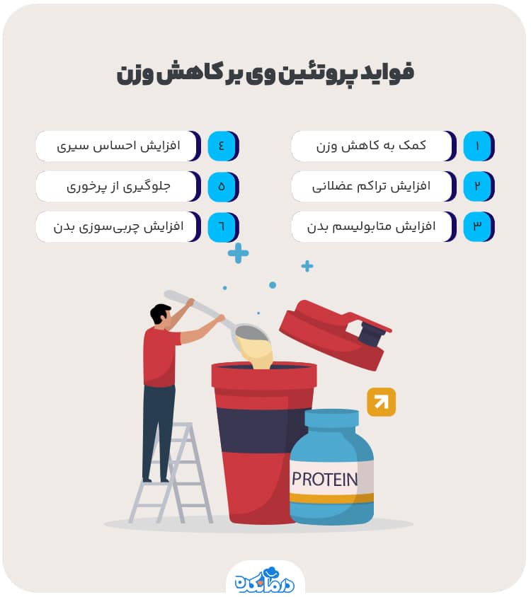 اینفوگرافی فواید پروتئین وی بر کاهش وزن