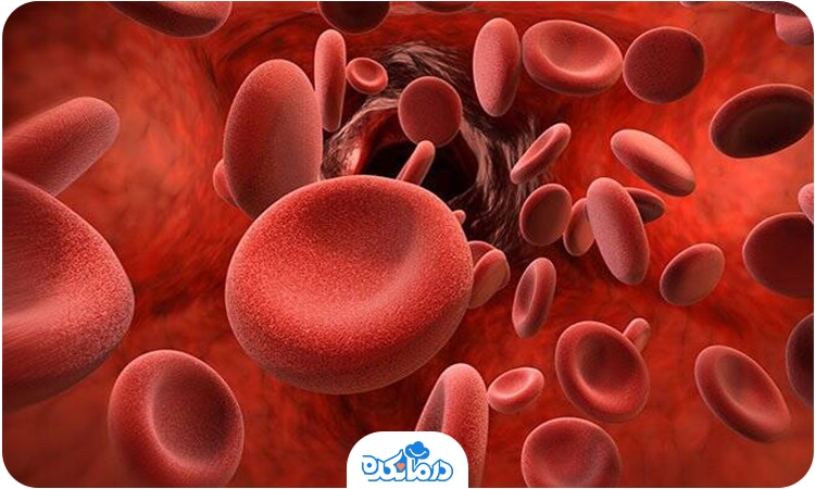 تصویری از گلبول‌های قرمز خون