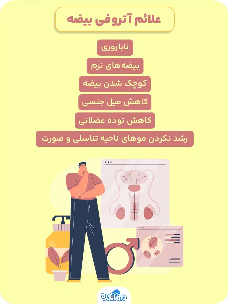 اینفوگرافی درباره علائم آتروفی بیضه