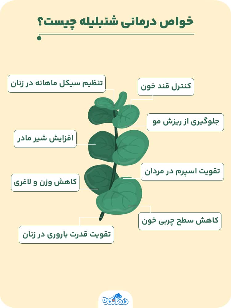 اینفوگرافیکی از خواص شنبلیله