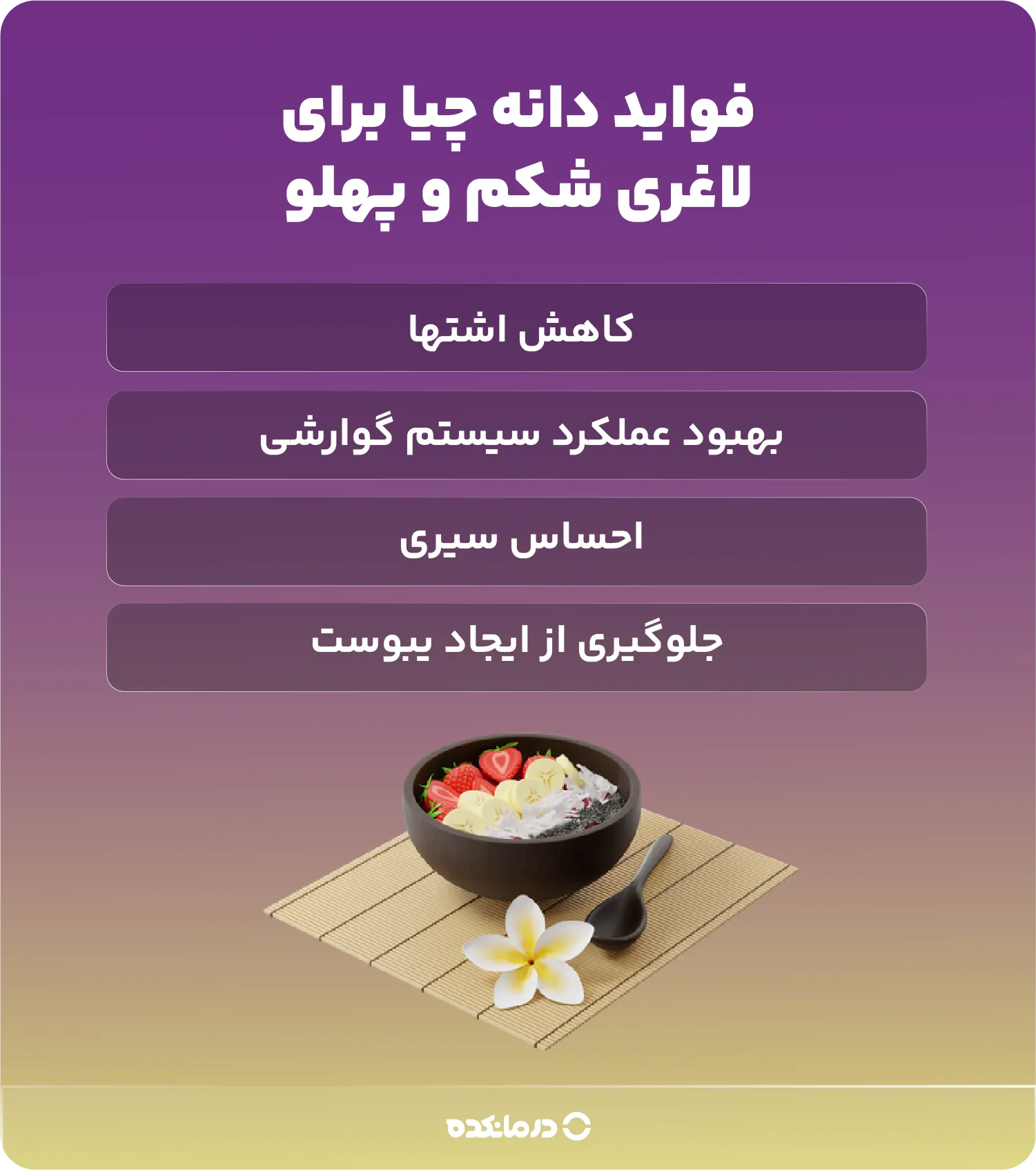 اینفوگرافی فواید دانه چیا برای لاغری شکم و پهلو