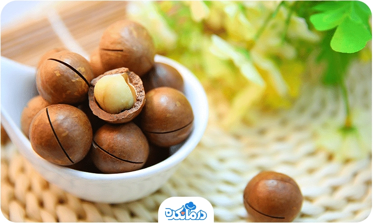 فندق ماکادمیا؛ فواید این مغز خوشمزه و لوکس را دستکم نگیرید