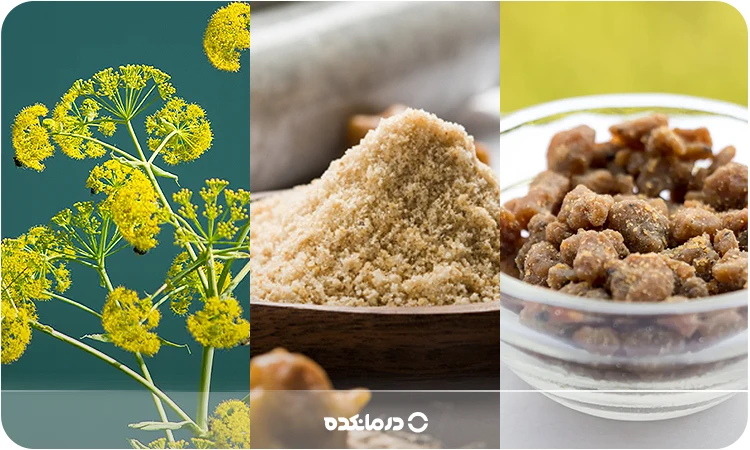 تصویر گیاه آنغوزه در کنار صمغ خشک شده و پودر آن.