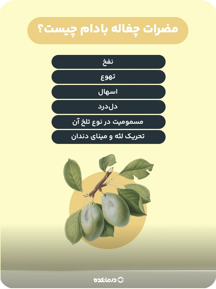 اینفوگرافیک مضرات چغاله بادام 