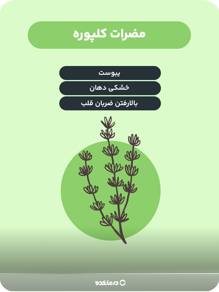اینفوگرافیک مضرات کلپوره