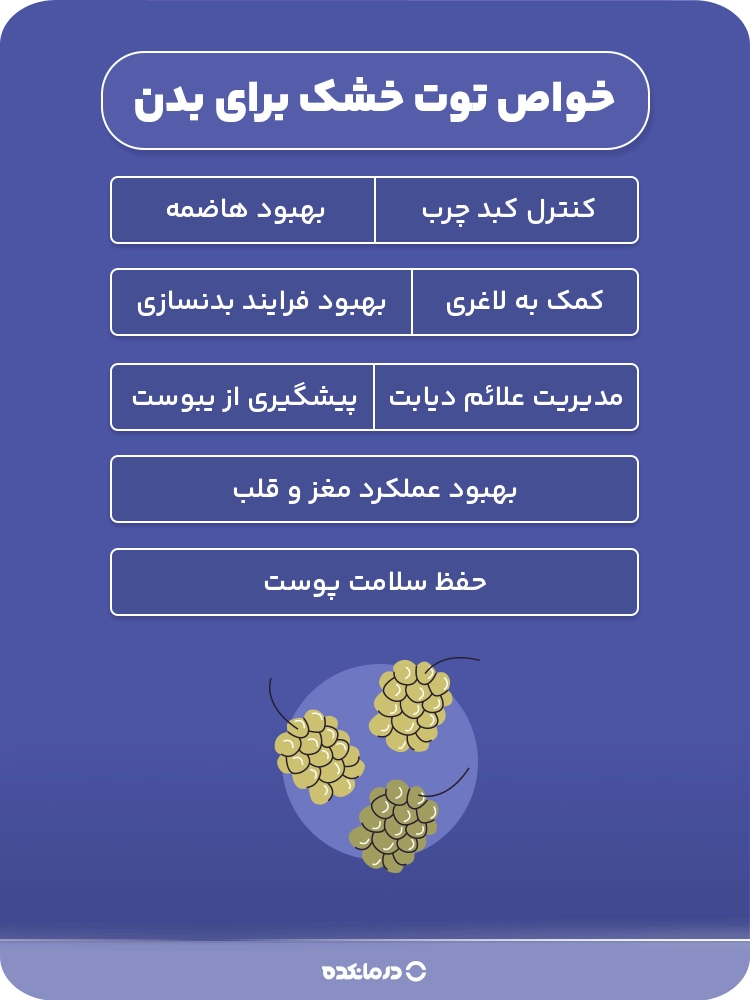 اینفوگرافیک خواص توت خشک برای بدن (بهبود هاضمه، کنترل کبد چرب، کمک به لاغری، بهبود فرایند بدنسازی، مدیریت علائم دیابت، پیشگیری از یبوست، بهبود عملکرد مغز و قلب، حفظ سلامت پوست)