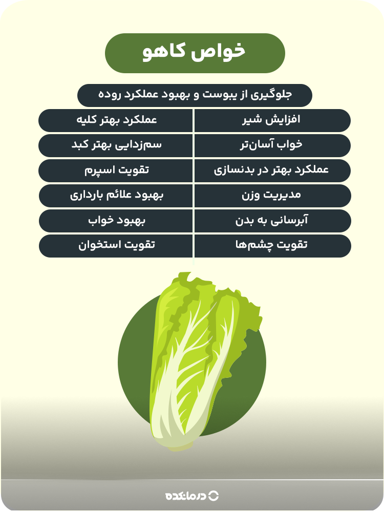 اینفوگرافیک خواص کاهو (تقویت استخوان-آبرسانی به بدن-تقویت چشمها-بهبود خواب-مدیریت وزن-بهبود علائم بارداری-تقویت اسپرم-افزایش شیر-سمزدایی بهتر کبد-عملکرد بهتر کلیه-خواب آسانتر-عملکرد بهتر در بدنسازی-جلوگیری از یبوست و بهبود عملکرد روده)