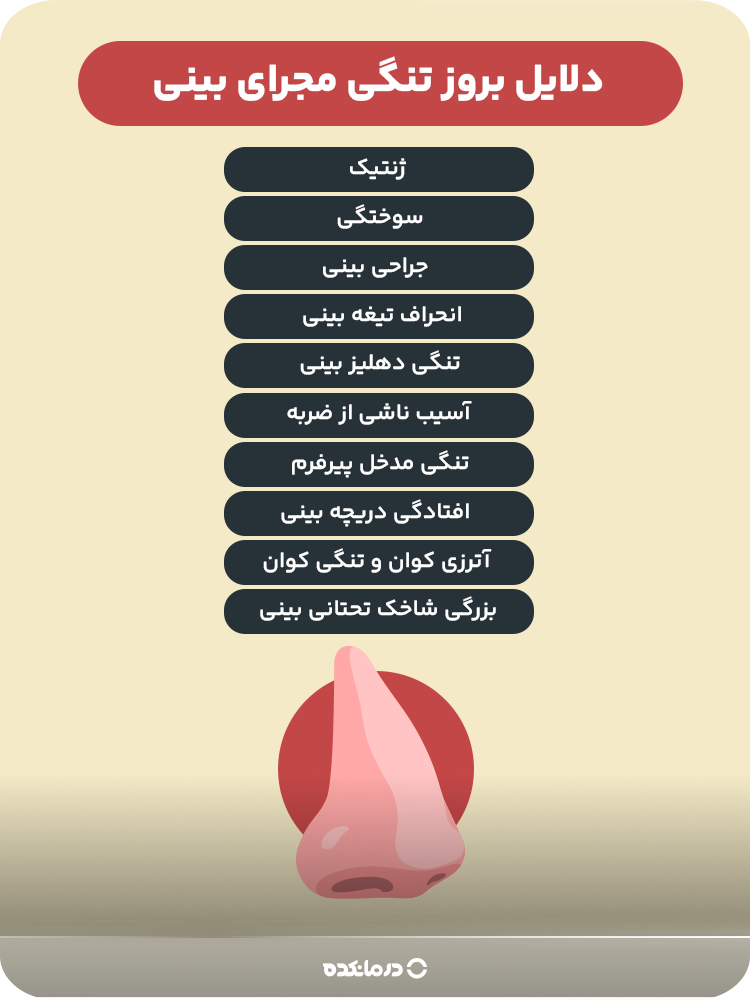 اینفوگرافیک دلایل بروز تنگی مجرای بینی (ژنتیک/ آسیب ناشی از ضربه/ سوختگی/ جراحی بینی/ انحراف تیغه بینی/ افتادگی دریچه بینی/ بزرگی شاخک تحتانی بینی/ تنگی دهلیز بینی/ آترزی کوان و تنگی کوان/ تنگی مدخل پیرفرم)