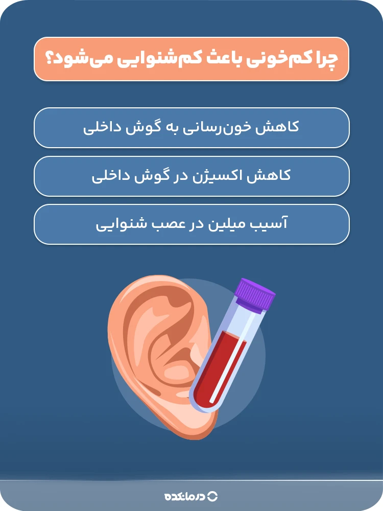اینفوگرافی «چرا کمخونی باعث کمشنوایی میشود؟»