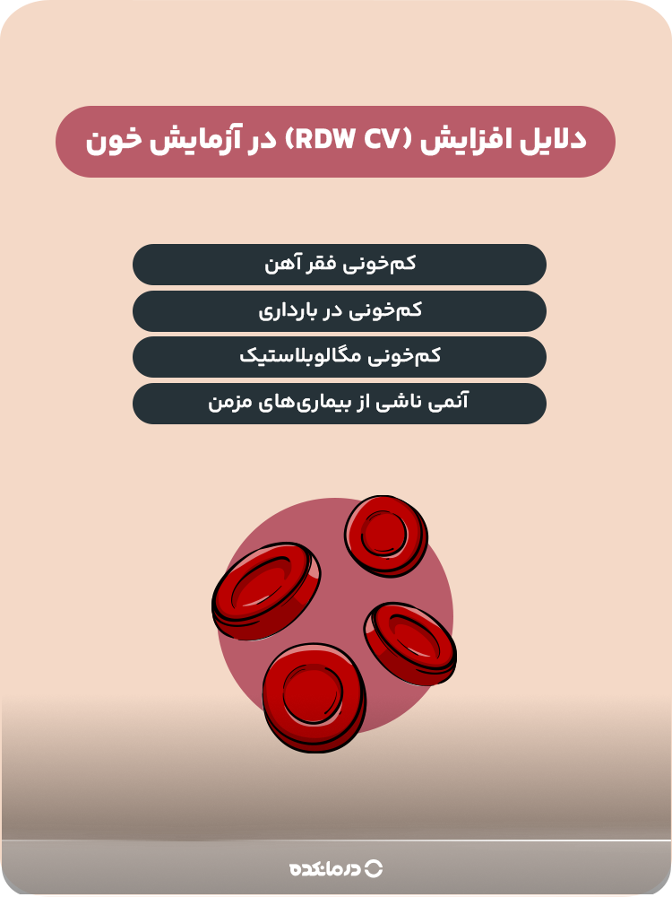 اینفوگرافیک دلایل افزایش rdw cv در آزمایش خون (تیترهای سه بدون توضیحات متن و داخل پرانتز)
