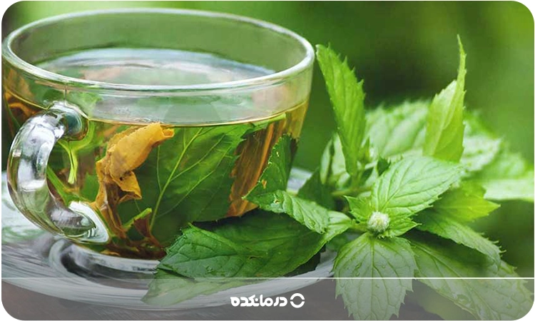 یک لیوان دمنوش گزنه را می بینید