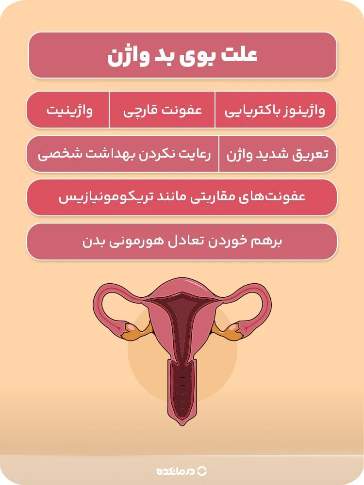 اینفوگرافیک علت بوی بد واژن (لطفا بنویسید: واژینوز باکتریایی، عفونت قارچی، عفونت‌های مقاربتی مانند تریکومونیازیس، واژینیت، برهم خوردن تعادل هورمونی بدن، تعریق شدید واژن، رعایت نکردن بهداشت شخصی)