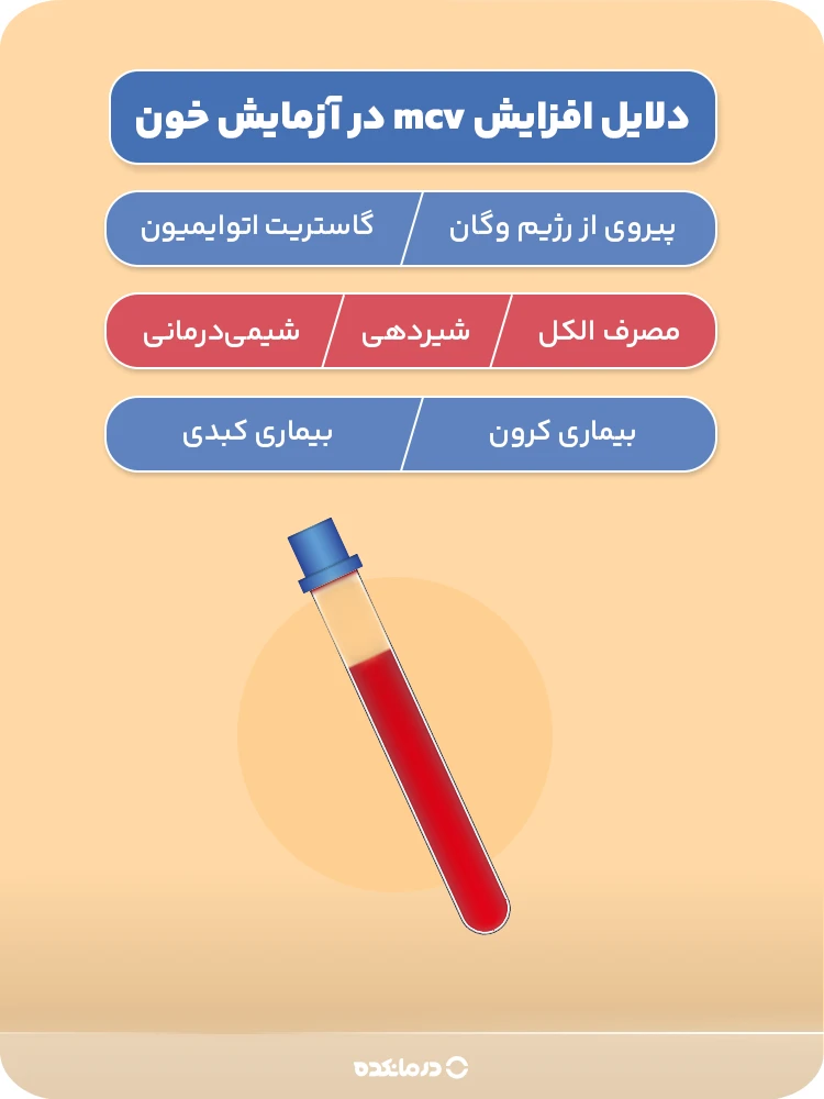 اینفوگرافی «دلایل افزایش mcv در آزمایش خون» (پیروی از رژیم وگان/ گاستریت اتوایمیون/ شیردهی/ مصرف الکل/ شیمی‌درمانی/ بیماری کرون/ بیماری کبدی)