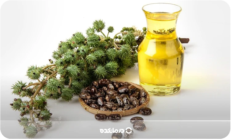 تصویر روغن کرچک را می‌بینید