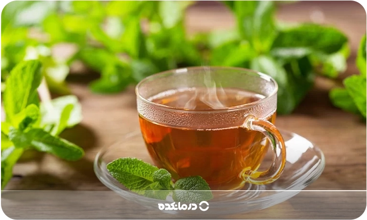 یک لیوان دمنوش نعناع را می بینید