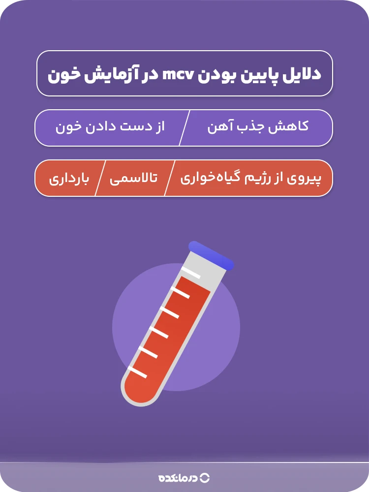 اینفوگرافی «دلایل پایین بودن mcv در آزمایش خون» (تالاسمی/ کاهش جذب آهن/ بارداری/ از دست دادن خون/ پیروی از رژیم گیاه‌خواری)