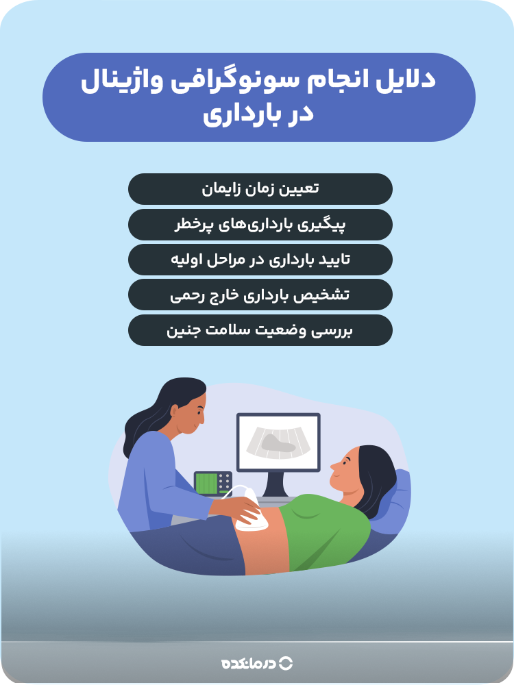 اینفوگرافی «دلایل انجام سونوگرافی واژینال در بارداری» (تایید بارداری در مراحل اولیه/ تعیین زمان زایمان/ تشخیص بارداری خارج رحمی/ بررسی وضعیت سلامت جنین/ پیگیری بارداری‌های پرخطر)