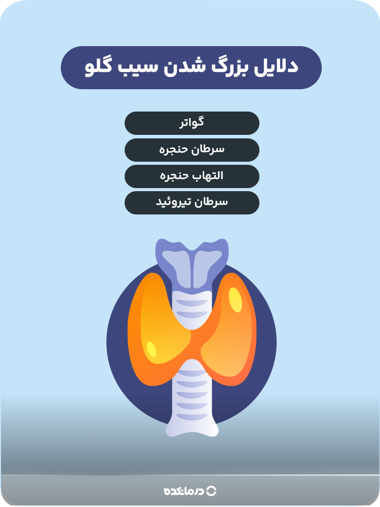 اینفوگرافی دلایل بزرگ شدن سیب گلو