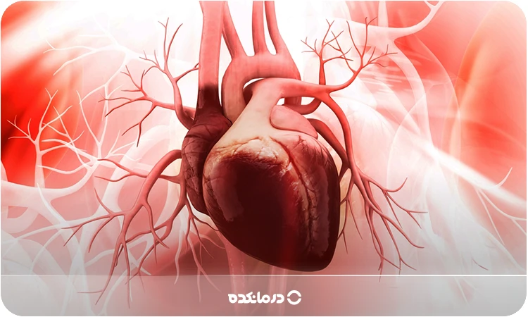 تصویر گرافیکی از قلب همراه با رگهای اصلی آن را مشاهده میکنید