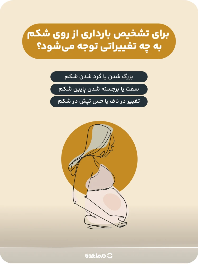 اینفوگرافیک برای تشخیص بارداری از روی شکم به چه تغییراتی توجه میشود؟