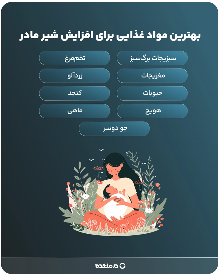 اینفوگرافی «بهترین مواد غذایی برای افزایش شیر مادر» (سبزیجات برگسبز/ مغزیجات/ حبوبات/ هویج/ / جو دوسر/ تخممرغ/ زردآلو/ کنجد/ ماهی)