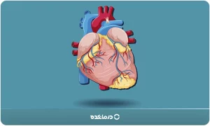 برای باز شدن رگهای قلب چه بخوریم؟ ۱۸ باز کننده قوی عروق