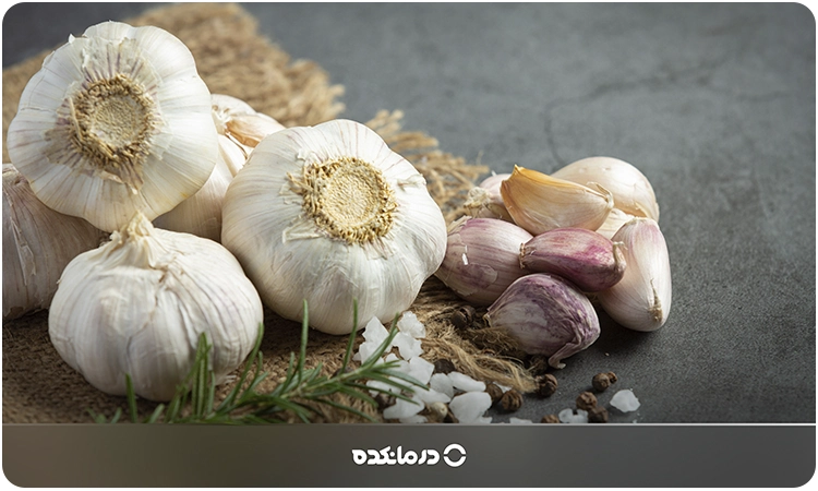 تصویر سیر را می بینید