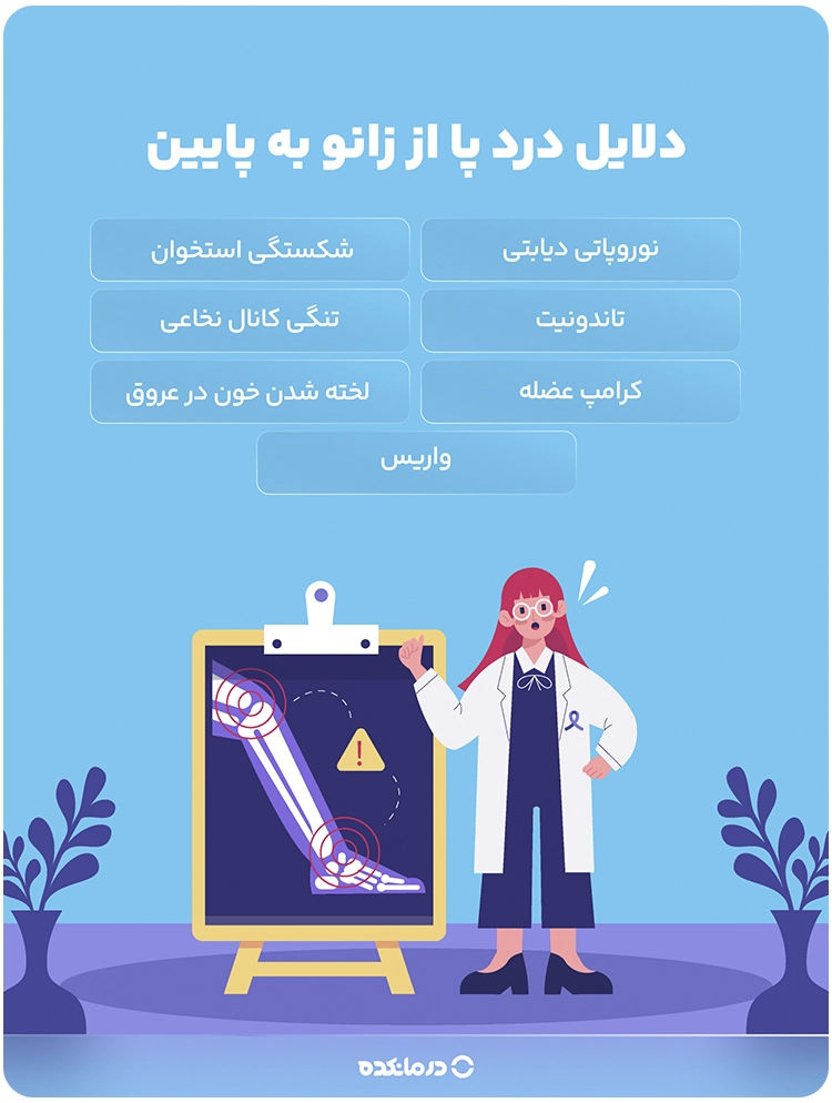 اینفوگرافی «دلایل درد پا از زانو به پایین» (نوروپاتی دیابتی/ شکستگی استخوان/ تاندونیت/ تنگی کانال نخاعی/ کرامپ عضله/ لخته شدن خون در عروق/ واریس)