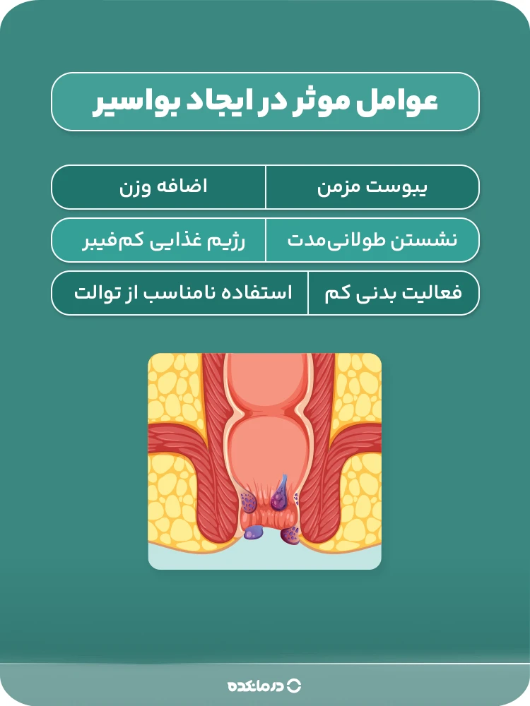 اینفوگرافیک عوامل موثر در ایجاد بواسیر