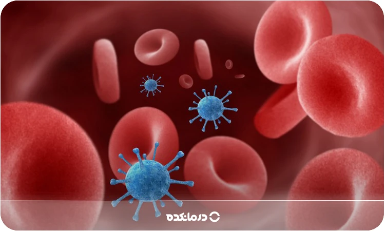 تصویر یک رگ خونی که باکتری در آن وجود دارد