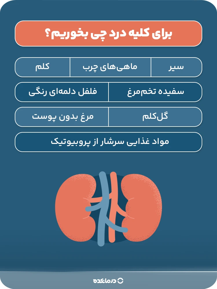 اینفوگرافی برای کلیه درد چی بخوریم؟
