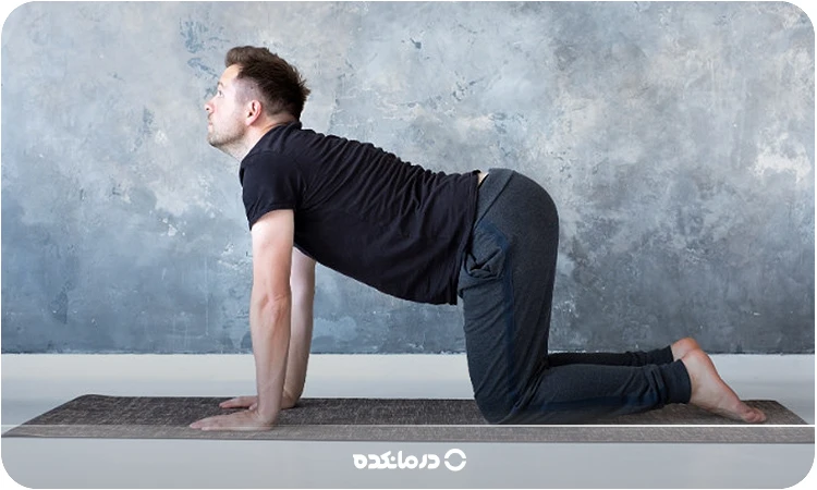 تصویری از تمرین گربه شتر را می بینید