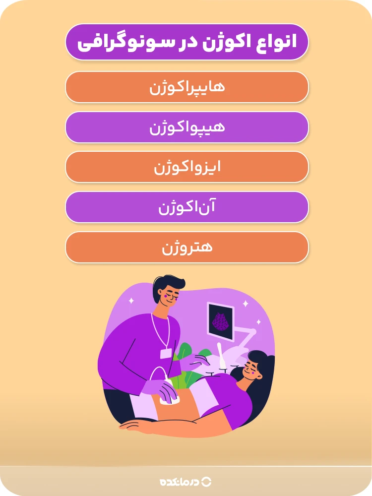 اینفوگرافی «انواع اکوژن در سونوگرافی»