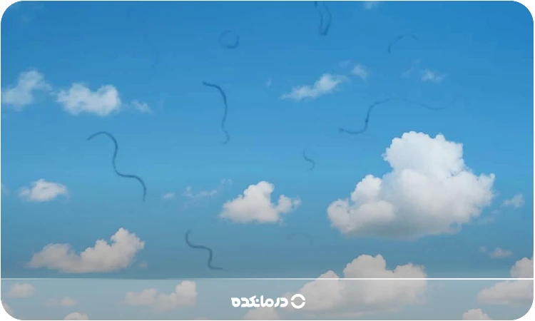 تصویر خطوط رشتهای مگسپران هنگام تماشای آسمان آبی (از زاویه چشم فرد)
