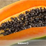 خواص پاپایا چیست؟ ۲۲ خاصیت مهم برای مردان، زنان، کودکان