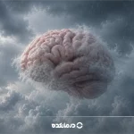 مه مغزی چیست؟ [علت، علائم، ۴ روش درمان + درمان گیاهی]