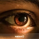 مردمک چشم کجاست و کار آن چیست؟ [عکس + ۹ نوع بیماری]