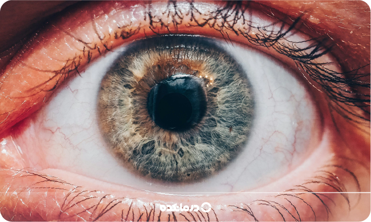 تصویر واقعی و نزدیک از مردمک چشم را می بینید