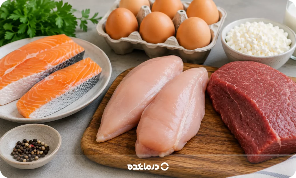 تصویر منابع سرشار از پروتئین حیوانی مثل مرغ، ماهی و گوشت کم چرب و تخم مرغ را می بینید
