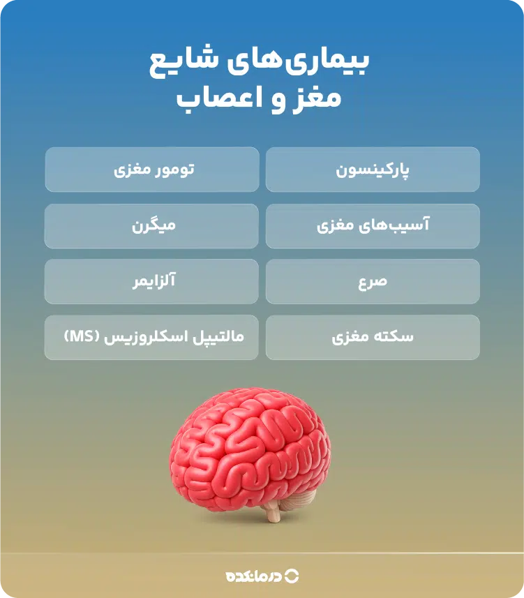 اینفوگرافیک بیماری‌های شایع مغز و اعصاب 