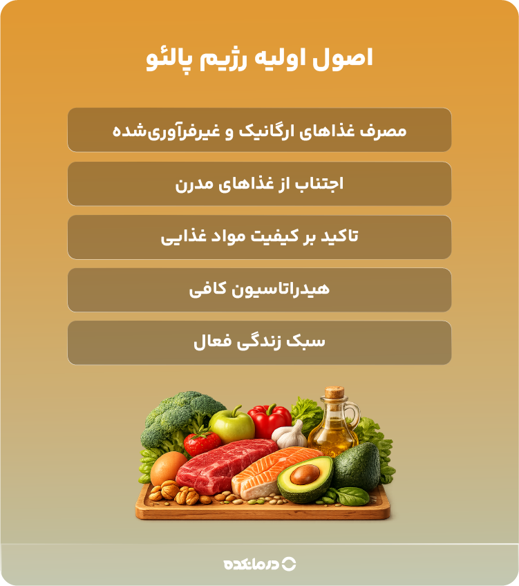 اینفوگرافی اصول اولیه رژیم پالئو