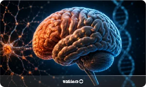 شایع ترین بیماری های مغز و اعصاب کدامند؟ + بیماریهای ژنتیکی مغز و اعصاب