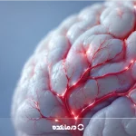 افزایش خونرسانی به مغز؛ بهترین دارو، تغذیه مناسب + حرکات ورزشی